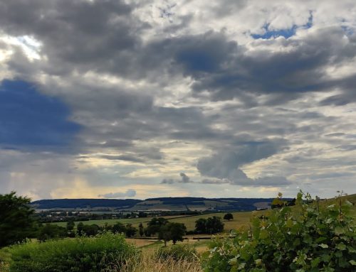 Weekend d’escalade en Bourgogne – 10-11 juin 2023